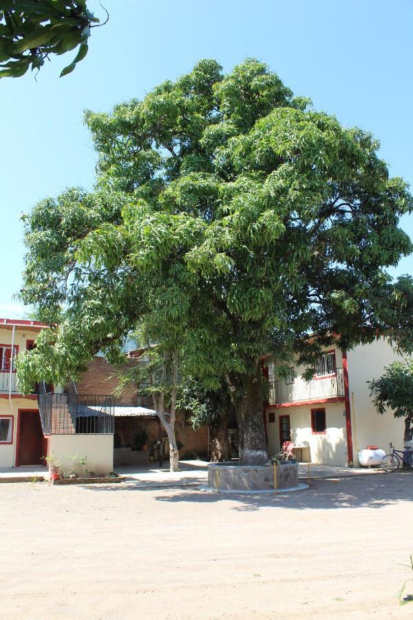 Meson La Huerta Hotel มาสโกตา ภายนอก รูปภาพ